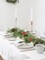 Christmas Pine Garland, Artificail Greengery Garland Indoor Outdoor (Green)